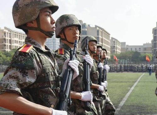 稍息立正站好视频,站姿规范与军姿训练揭秘