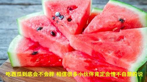 吃西瓜视频,夏日消暑必备，轻松解锁美食新体验
